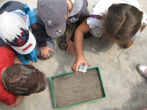 A scuola arriva l’educazione ambientale con voto in pagella. Ma cosa sarà resta da vedere