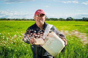 Wwf, 40% superficie agricola Bio al 2030 per eco transizione