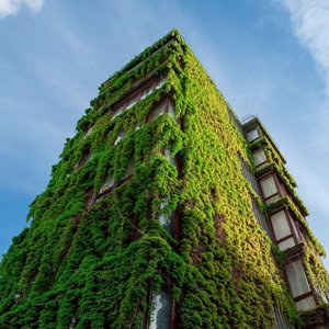Architettura ecosostenibile: cos’è, i principi, i materiali