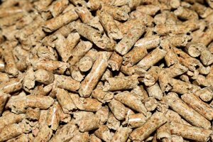 Biomasse legnose, tra le soluzioni più praticabili ed economiche per la decarbonizzazione
