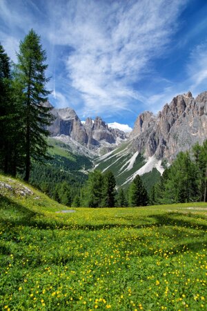 Le attività umane sono le principali cause dell’erosione dei suoli alpini italiani