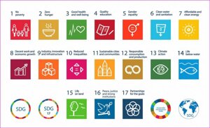 Agenda 2030: lo sviluppo sostenibile in 17 obiettivi 