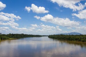 Amazzonia: persi 745 milioni alberi. Ong, 'dati omessi a Cop26'