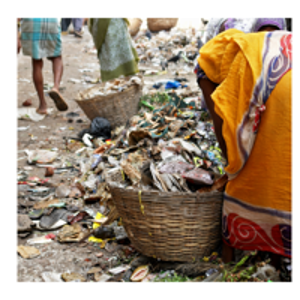 Jane Goodall: eliminare la povertà per salvare l’ambiente