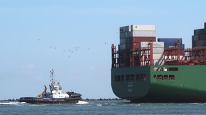 Ripensare il trasporto marittimo è possibile: come rendere green una realtà inquinante