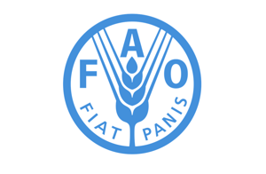 Approvata la nuova strategia nutrizionale della FAO