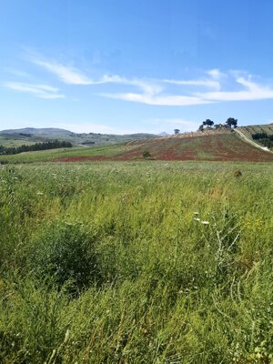 Il Capitale naturale dell'Italia si è ridotto per dissesto e siccità