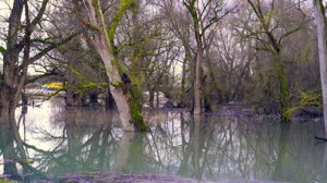 Il cambiamento climatico porterà tempeste più intense in tutta Europa