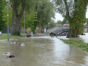 La natura avvisa il G20 Ambiente: il punto di non ritorno è vicino. Scrive Clini