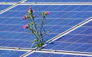 5 falsi miti sul fotovoltaico, parte la campagna di Italia Solare