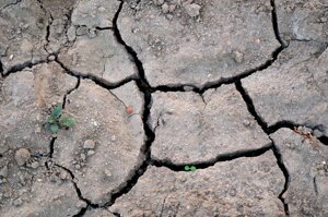 Gli ultimi sette anni sono stati i più caldi di sempre: “Agire in fretta per evitare la catastrofe climatica”