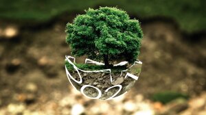 Year in Green - Che anno è stato il 2021 per l’ambiente?