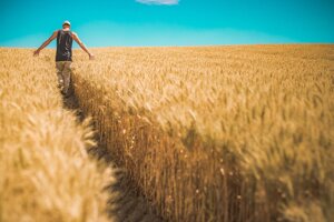 Coldiretti: l’estate senza fine mette in ginocchio l’agricoltura
