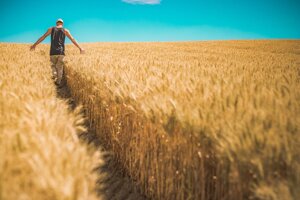 Coldiretti: l’estate senza fine mette in ginocchio l’agricoltura
