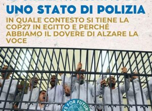 Cop27, i Fridays for future tornano a manifestare nelle piazze italiane il 12 novembre