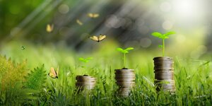 La Green economy accelera in Italia con 531mila imprese