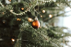 Vero o finto: quanto inquina l'albero di Natale?