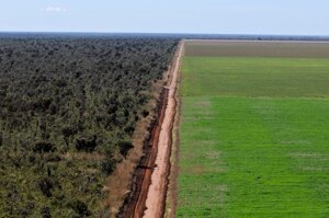 Amazzonia, l’allarme del WWF: la deforestazione sta raggiungendo un punto di non ritorno