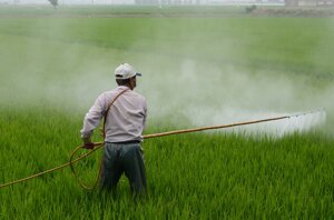 Non solo glifosato: gli altri pesticidi non testati approvati in Europa