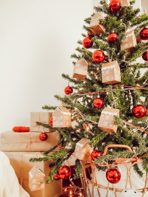 Un Natale sostenibile: 5 consigli eco-friendly dall'albero ai regali