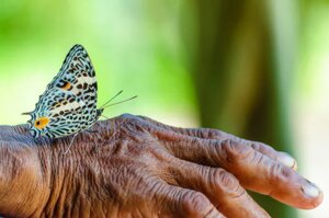 Che cosa fare per salvare la biodiversità