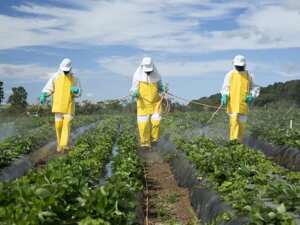 Il monitoraggio dei pesticidi in Italia fa acqua da tutte le parti
