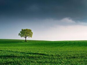 Il cambiamento climatico fa più paura del Covid. Ma cosa fanno gli italiani?