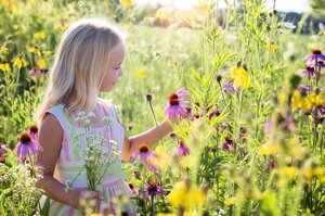 Calendario dei prossimi eventi a contatto con la Natura