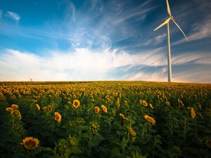 Energia sostenibile: cos'è e perché è importante