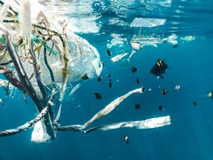 Quali rifiuti fanno crescere l'isola di plastica del Pacifico?