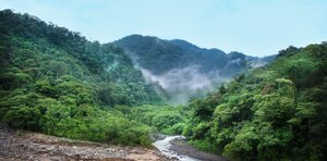  Gli sforzi dell’Unione europea per provare a contrastare la deforestazione a livello globale