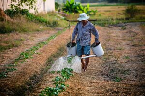 Giornata Mondiale dell'Alimentazione: l'acqua è cibo