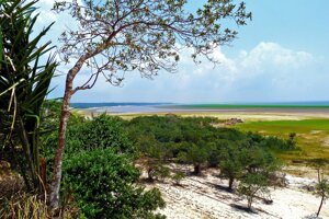 In Brasile la foresta restituita agli indigeni ha ricominciato a crescere