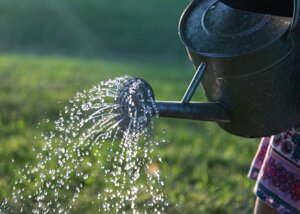 Cittadini attivi contro la siccità che asseta il verde pubblico: esempi virtuosi