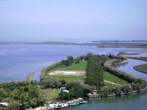 Nella laguna di Venezia nasce il bosco che moltiplica i pesci