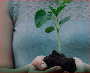 BioEarth, dal terriccio il progetto tessile che trasforma la natura in moda