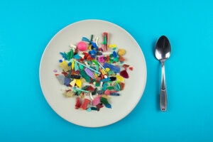 ENEA-Cnr: piante-animali-uomo, così le microplastiche contaminano il nostro cibo