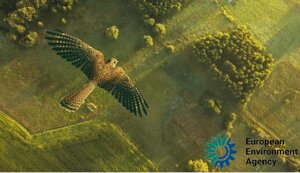 Stato della natura in Europa: gli ecosistemi danneggiati devono essere ripristinati