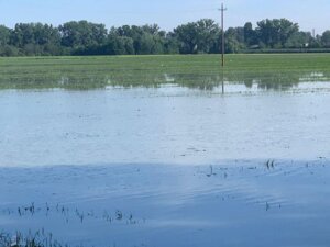 Alluvione Emilia Romagna: solidarietà tra agricoltori