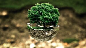 Europa leader mondiale nella ricerca sulla biodiversità