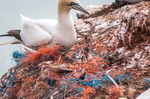 Giornata Mondiale dell'Ambiente: 10 numeri sull'inquinamento da plastica