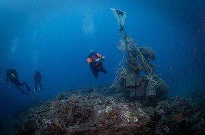 Plastica e rifiuti nel Mediterraneo: un pericolo mortale per gli animali marini