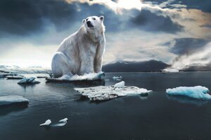 Greenpeace: 86% italiani pensa che la crisi climatica metta a repentaglio anche le società umane
