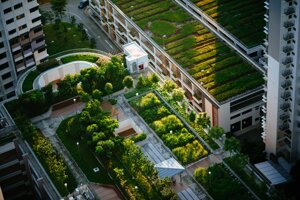 Urban nature: aumentare il verde urbano potrebbe evitare 43.000 morti all’anno in Europa