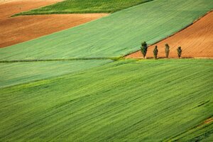 Stati generali della green economy: l’Italia produce meno emissioni, ma consuma troppo suolo
