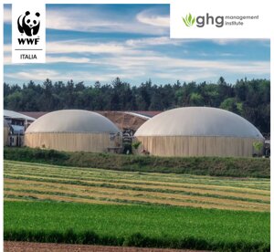 Bioenergie, il Wwf: devono essere sostenibili e vanno usate bene, non possono sostituire l’elettrico