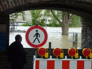 La crisi climatica ucciderà 14,5 milioni di persone entro il 2050. E sarà un disastro economico