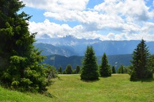 Con l’agroforestazione, il sequestro del carbonio può salire di quota