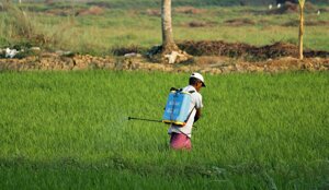 Presto potremmo dire addio ai pesticidi grazie a questa invenzione italiana: davvero rivoluzionaria