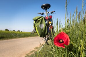 Turismo: Italia e Germania si giocano una partita equilibrata